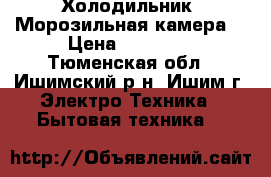 Холодильник. Морозильная камера. › Цена ­ 10 000 - Тюменская обл., Ишимский р-н, Ишим г. Электро-Техника » Бытовая техника   